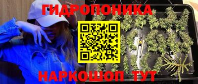 mdpv Коммунар