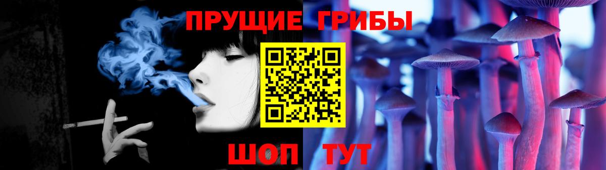 Псилоцибиновые грибы ЛСД Камышлов